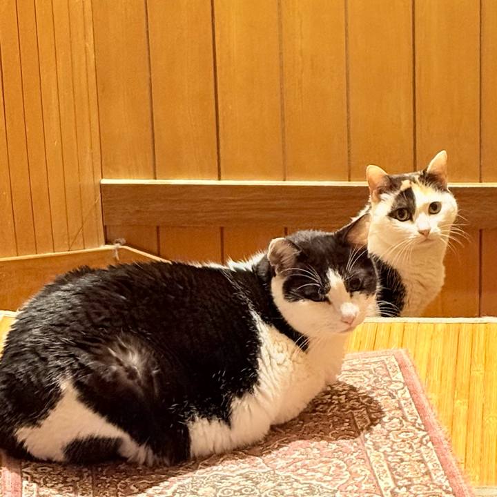 14859e3d ac85 48dc 83b6 5b6937cb0ccf 1772762595471