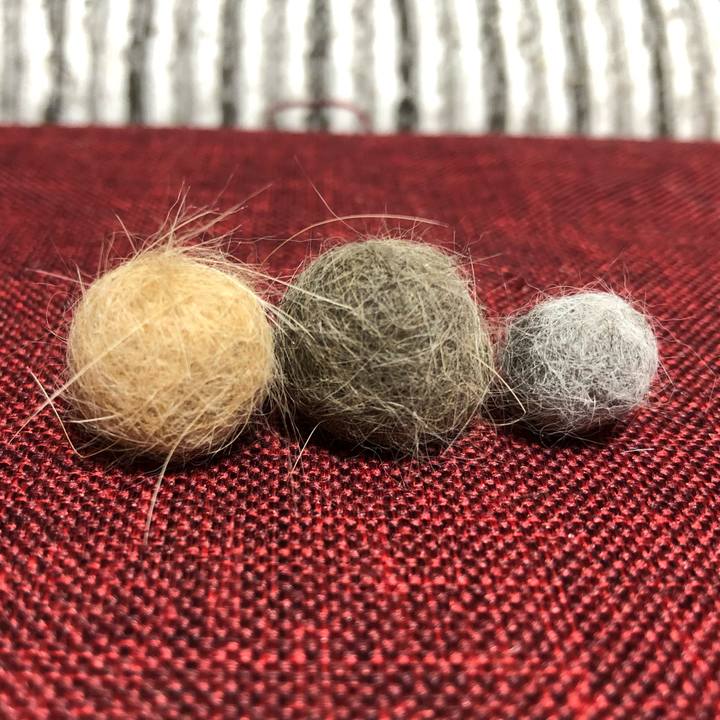 1485a0e9 b419 4e03 a4f3 742ea9808685 1623703533943