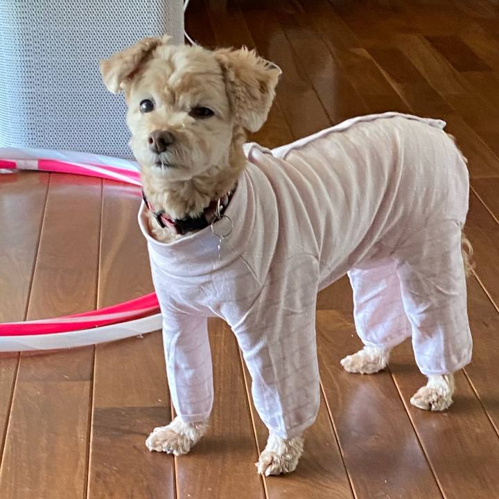 1485d746 7e3e 47b5 94cc e3bb438f5fcc 1632807749547