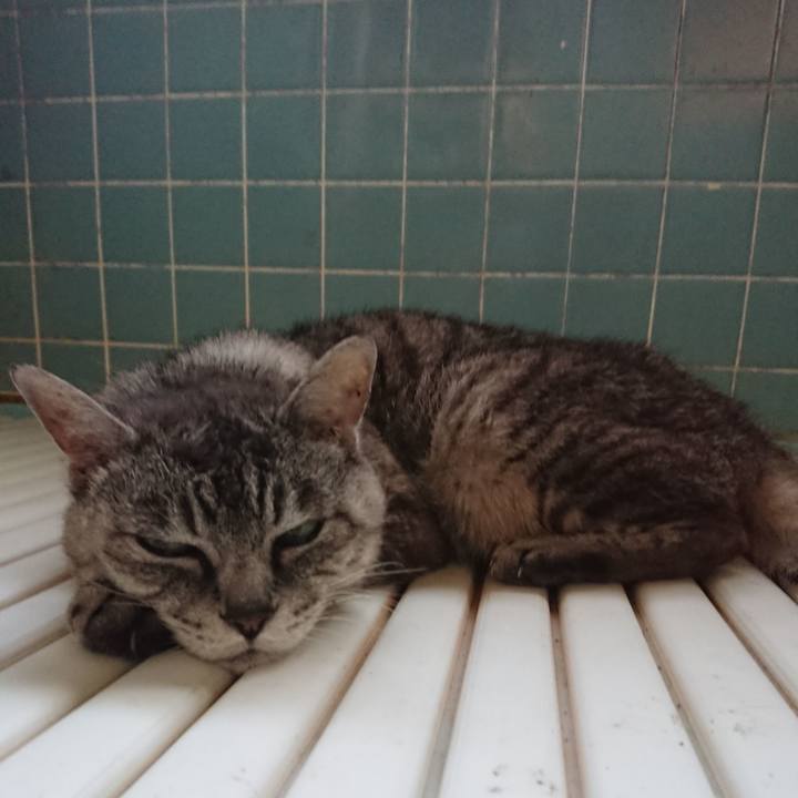 1485f470 b0b1 447c a886 007958de3d71 1568063523724