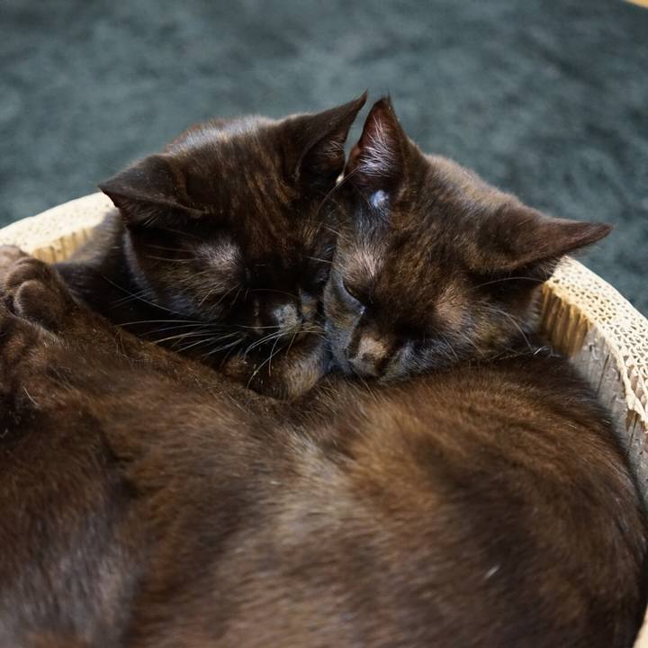 14861ead 967d 4d93 a99f bbd50f2ad44b 1511920994299