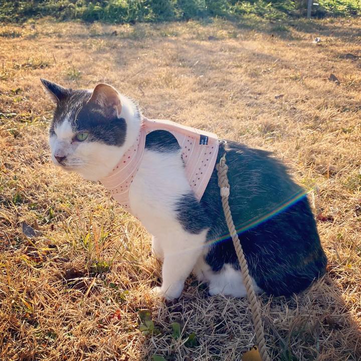 14863c1f 82f5 4f71 9ee3 58b65aedd924 1610783605369