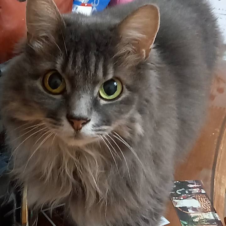 148644d9 1c96 4c69 b9a8 d8a23635bda1 1602336458054