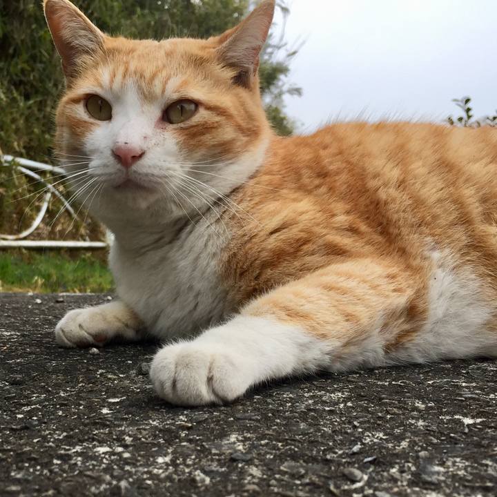 14864f2e 5ccf 4d26 a871 4e06da5f3cce 1552719307234