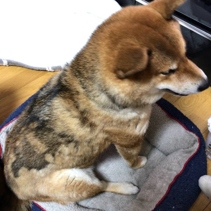 1486971c e4ca 4e90 b4d1 2913f3c8287e 1584612071081