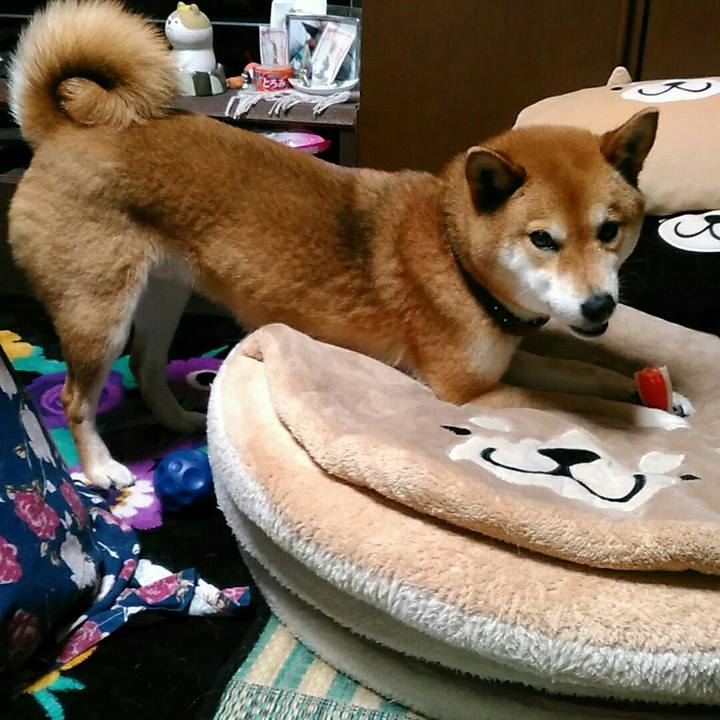 14869f04 34f4 4a16 8289 662484cb6577 1556700034376