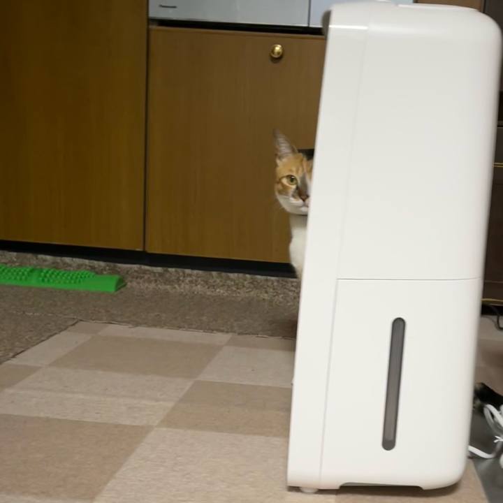 1486a318 54b5 440a a683 e946692d3619 1709677680309