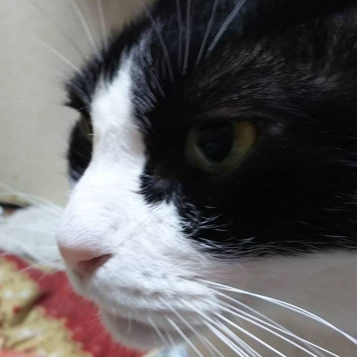 148712a6 cabb 42c4 9183 c10fa7bb88e9 1576101373640