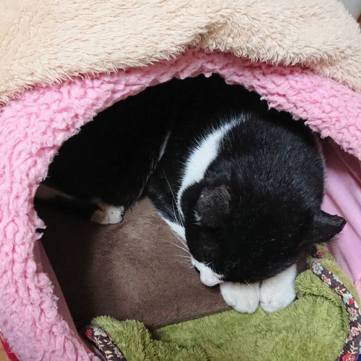 1487225d 7d03 422f 9f38 725ee0e103d0 1546945900836