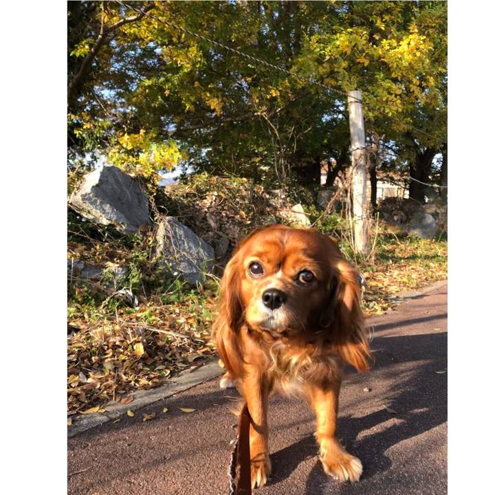 148730a0 114a 4f48 a574 fbc562ef82f6 1607730899756