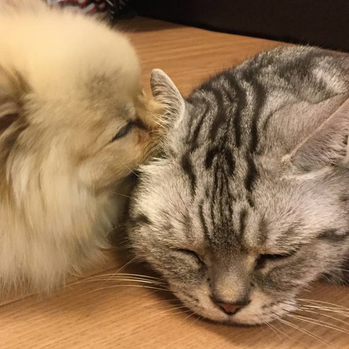 148730ab f31c 4d6a ab1a 8eb3f3511f76 1580185790060