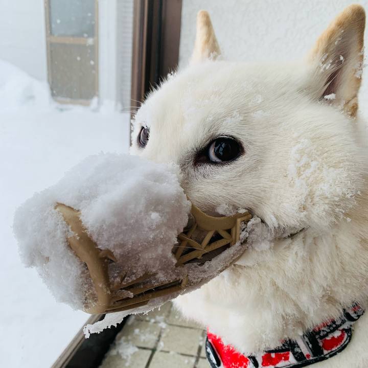 14874f53 31a5 4f1d 97cf cbcaab5212b3 1643698806379