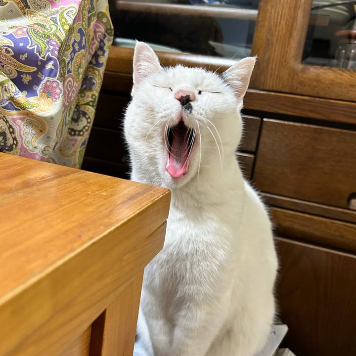 148762de 2ac1 49b4 8b41 21705073fc0f 1769164985660