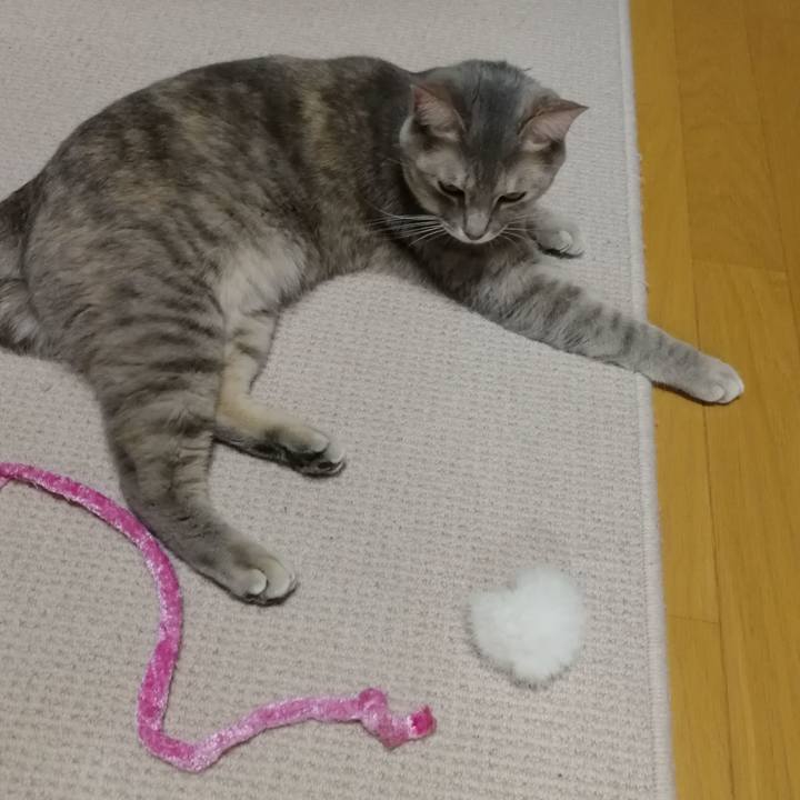 14876db0 b886 4887 9bf3 347a4ea59b93 1515295802301