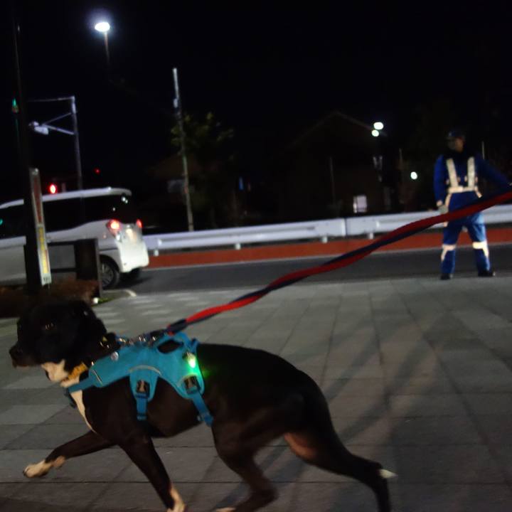 1487fccc 85f5 49ed 8d17 704f13715a75 1609670199417