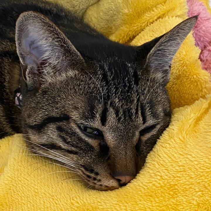 14881945 1209 4e04 bd28 d7342b8f6b7e 1580804140135