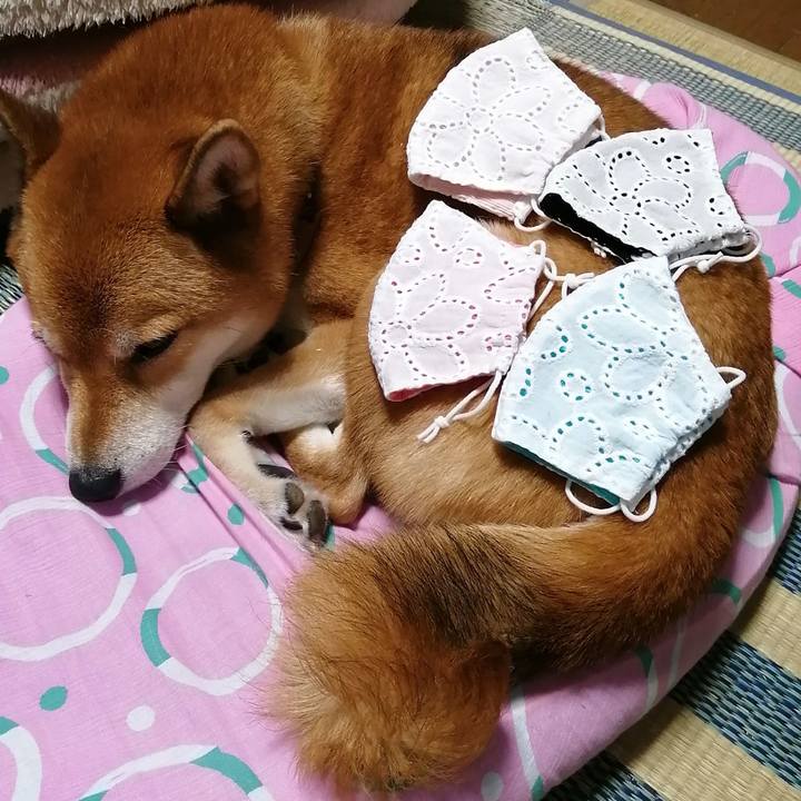 14881f3c 537c 4e65 9d31 5900f0a6c0a3 1600516309359