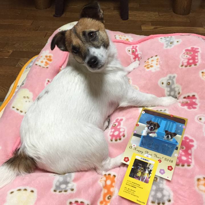 14881f40 8e56 47bd 85f2 cb763d3ea01d 1510936588095