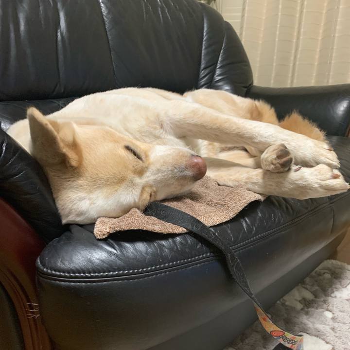 1488495c 54f1 4859 8954 f6e31ac0482b 1548516412365