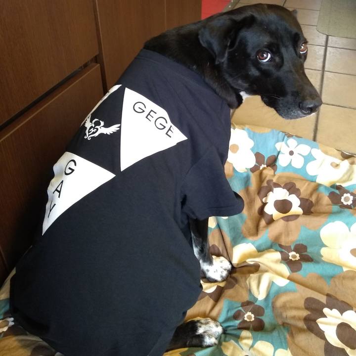 14884bef de69 4207 a088 50719a8d75a1 1600509153537