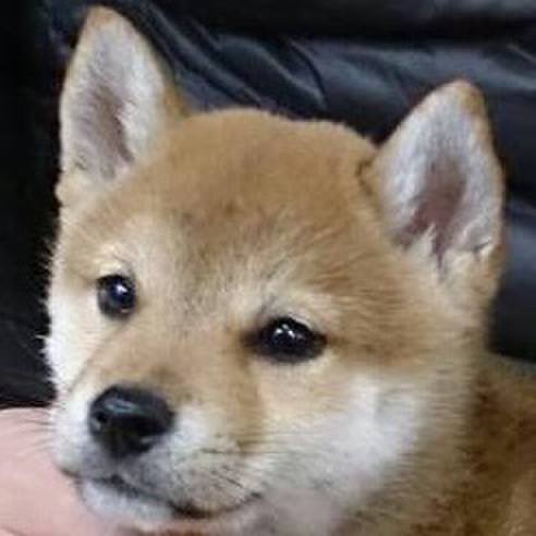 14884ddc aa3e 4d0f 91db 08b0efd41b2b 1619092175941