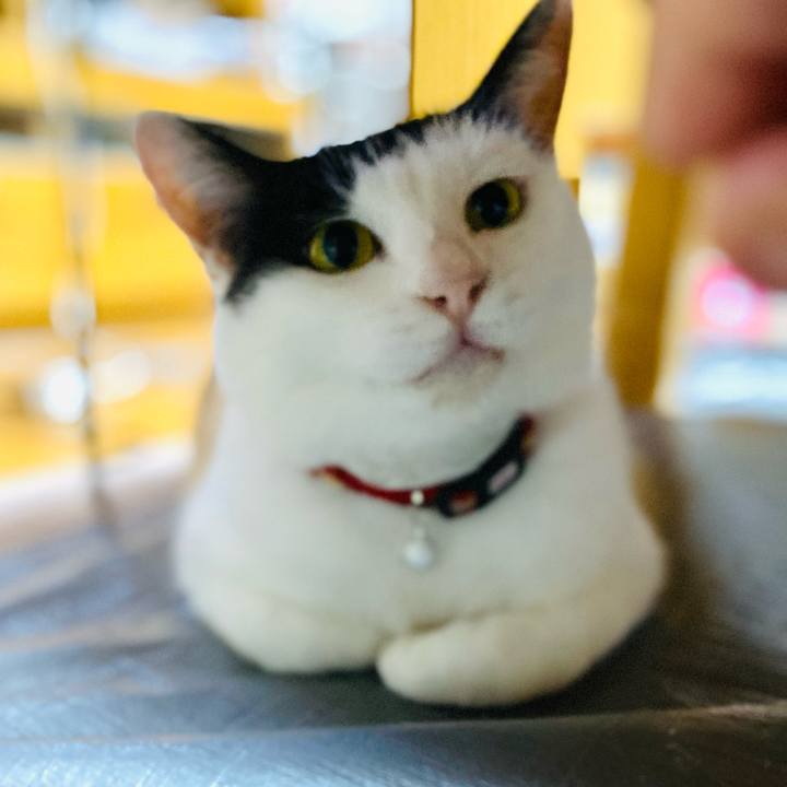 1488598a 7c7f 4dcf b7d5 458942855f10 1655381305012