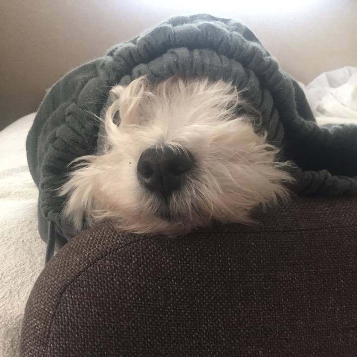 14888827 a9bc 44bc 9f95 f9f379c16197 1527233644659