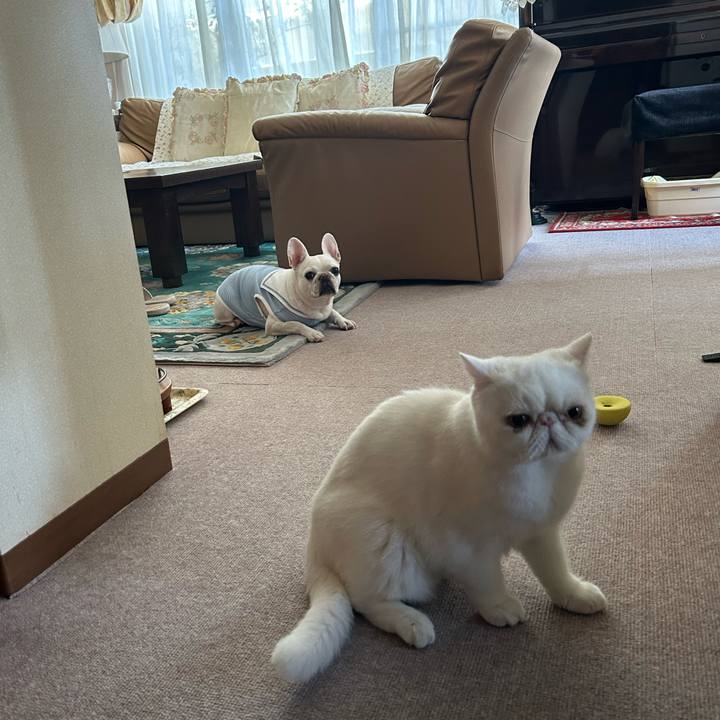 14888f53 4feb 48e9 9017 102155835e9b 1695724857284