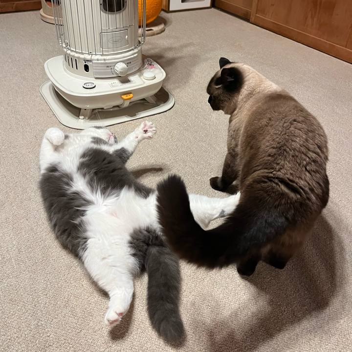 1488bafc 7bd1 4f64 b15f 2cd810338b15 1704182113569