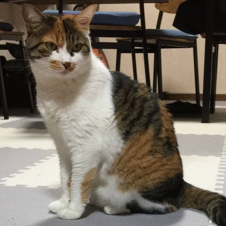 14895076 8299 486b a54a 9c93e2d55d79 1696502674605