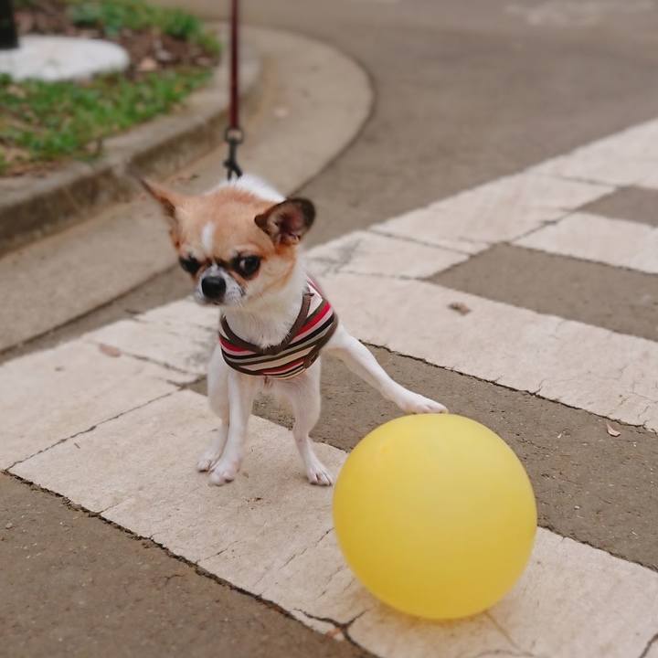 14896eba adb9 4fb2 a0d4 fdc8820dc827 1572303863262