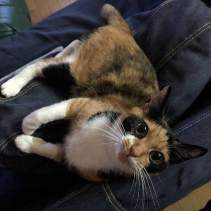 1489aefb 4a12 428a 93ff 777a1b81ff61 1532869160607