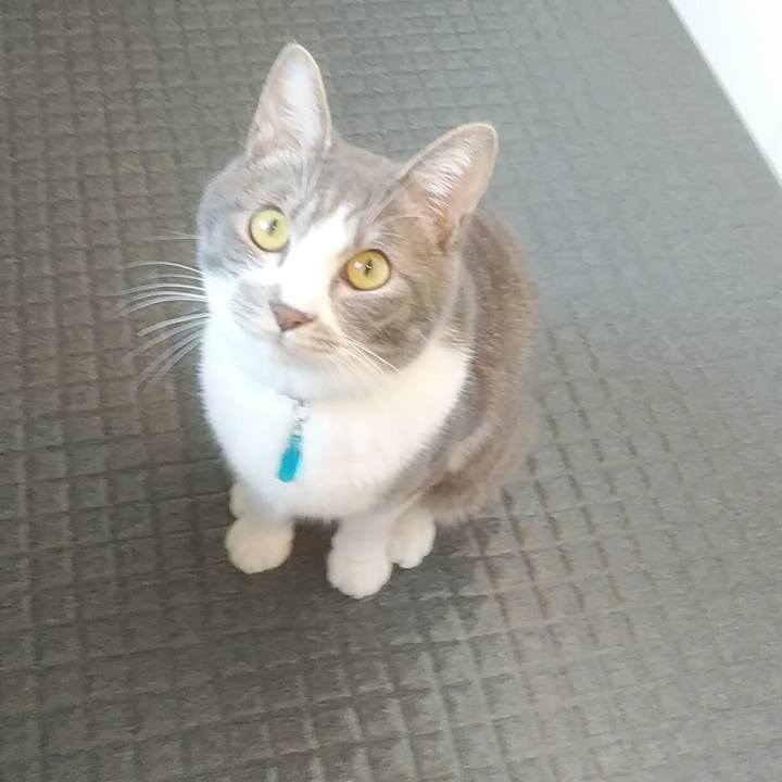 1489d0d2 8d05 46e8 9213 d5fb601ebaa6 1587769261435