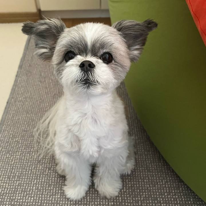 1489d7a1 e46e 450c ba6f 4043d37603bf 1705407065114