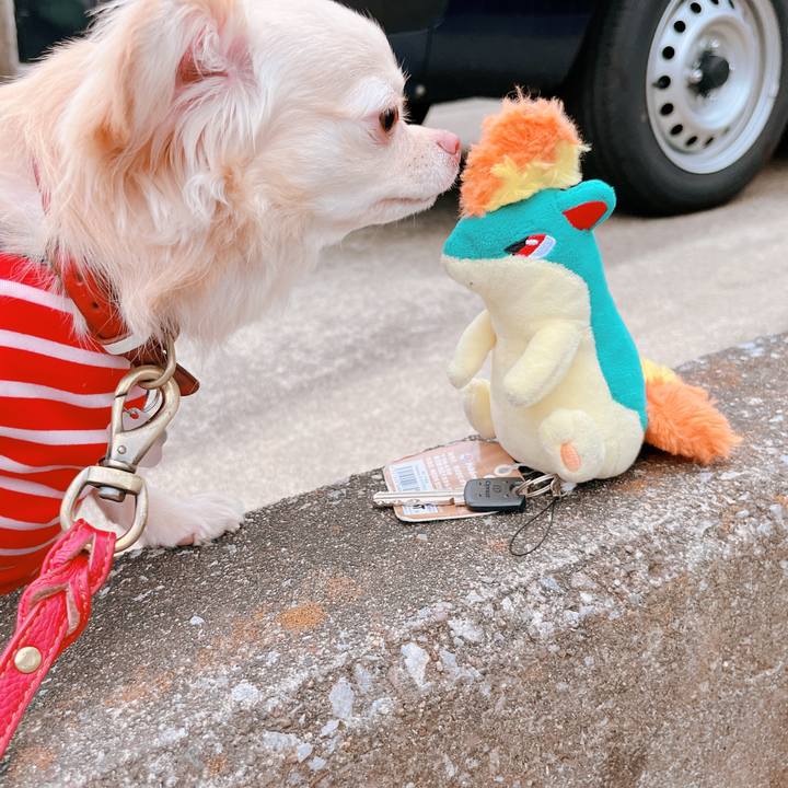 148a04cd 2353 4ed8 8438 6a0f40732252 1656847270413