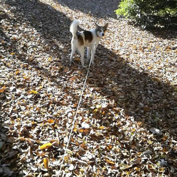 148a2595 fa0f 4d74 ac3f 906c0ab3b803 1512530387055