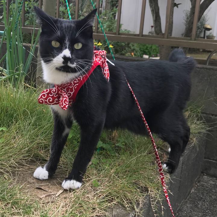 148a3bd6 b73f 49f9 beae ae70aa5482ab 1573703012937