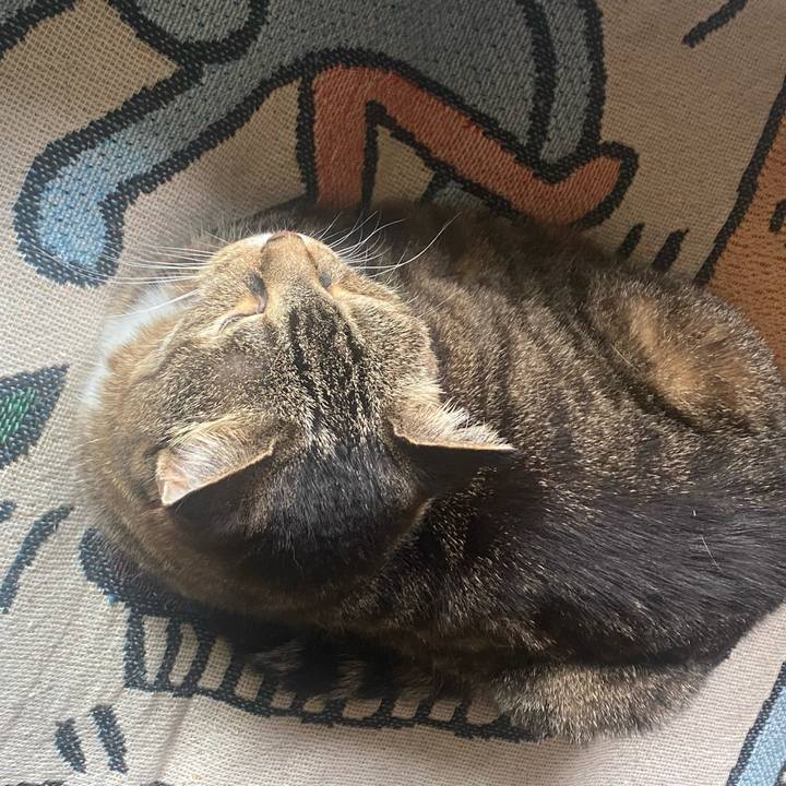 148a3c91 663b 40e7 ac03 fd817eff51aa 1719624721282