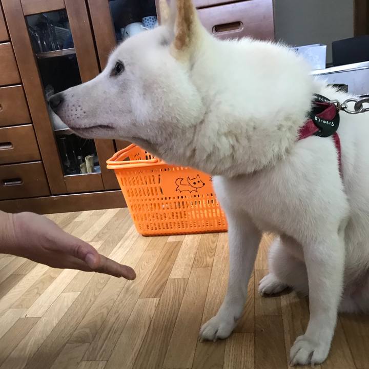 148a6e19 ca03 414b bdb2 8cea4f7f9d73 1533948785801