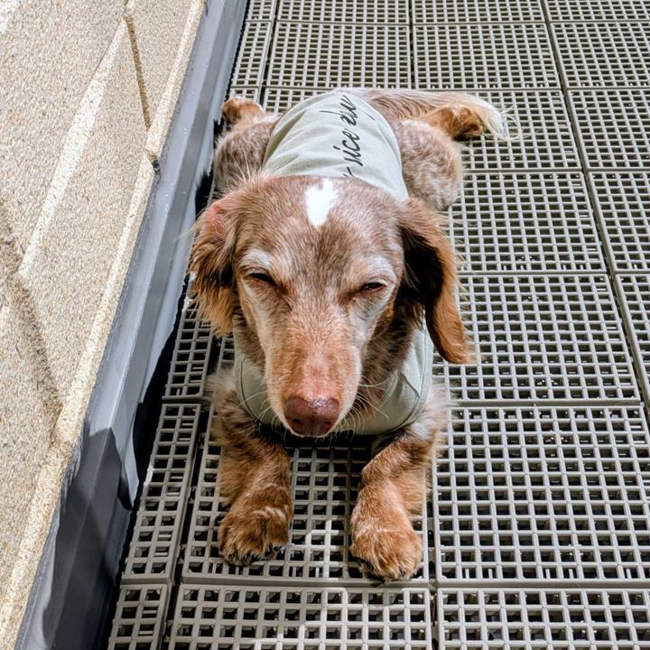 148a75ae 2862 45ae 83c2 f4d4e66740f9 1772248899246