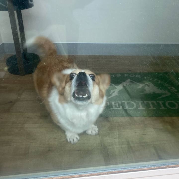 148a8cce 1a6c 45ad a300 4d78d2b9b947 1767777989428