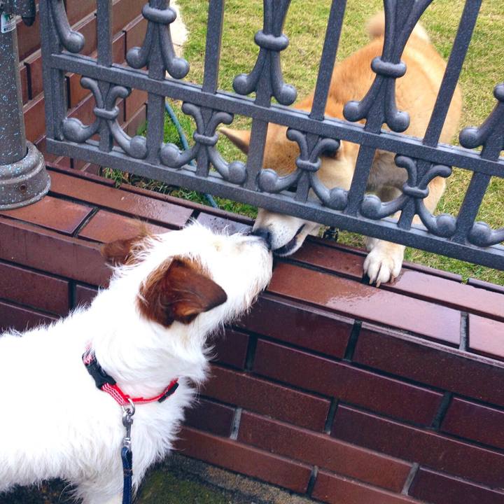 148a8f17 67e9 4a81 9dd8 851e46982d18 1546155133601