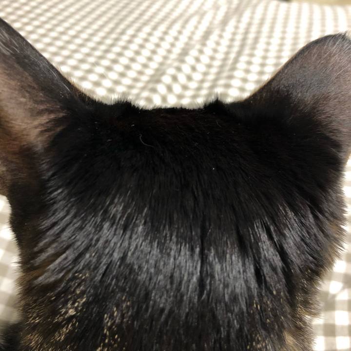 148a9245 5770 4731 b56d fb6671795969 1548707091101