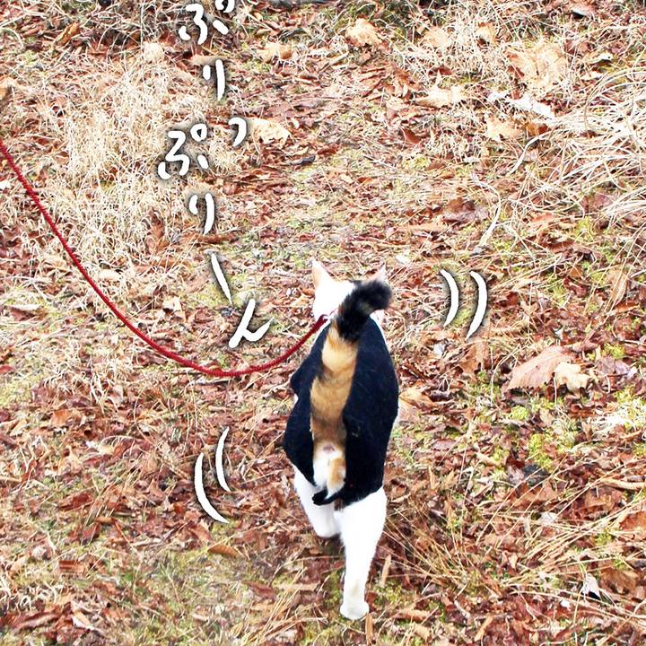 148ac06a 8cd0 4ba2 a410 c1e932c6771e 1583923060119