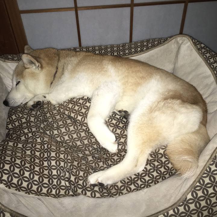 148ac214 a027 41b8 83f9 759cd99c832d 1525524324454