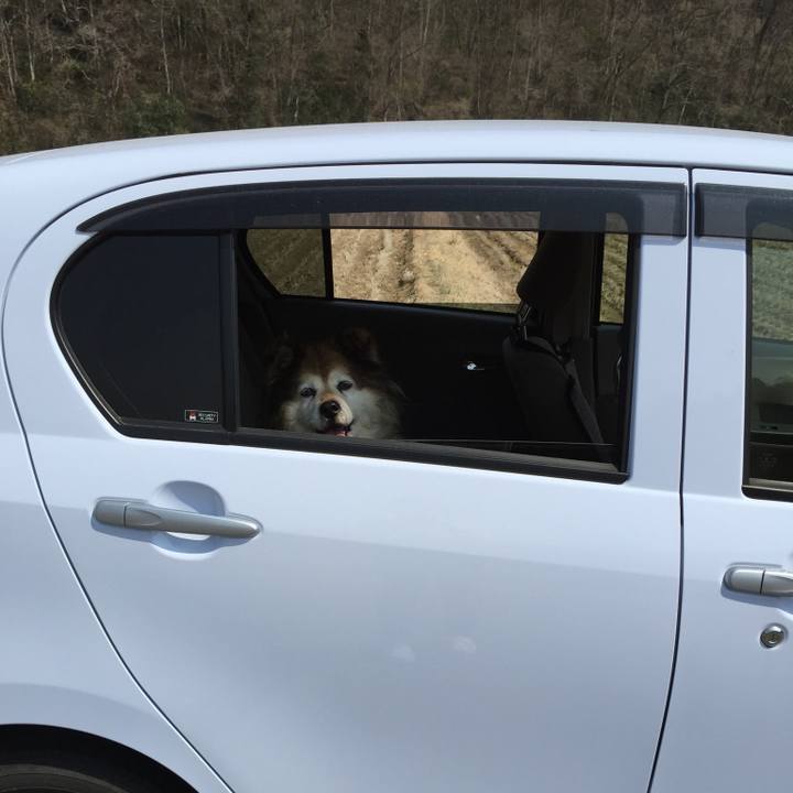 148ac8be 885d 4841 9a1e a75e4e09943d 1582289514501