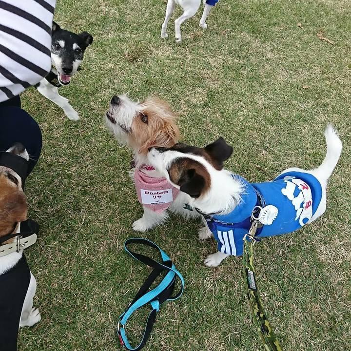 148aff4c 3222 4ef0 abef 5fccd4e73d9a 1509788358664