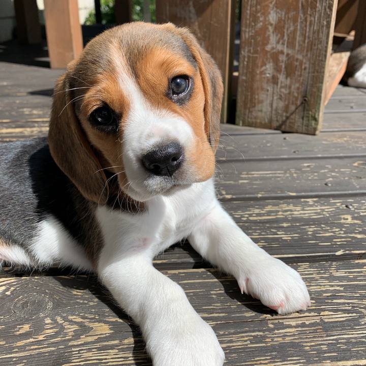 148b0318 3259 4b75 9f01 8c4eceab23f8 1616309319329