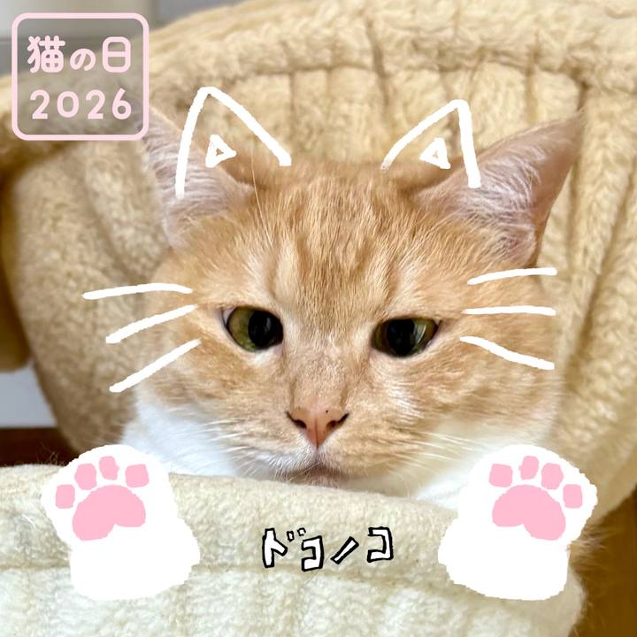 148b04f7 df9c 4c0a ad73 ea78d1476b50 1771767112930