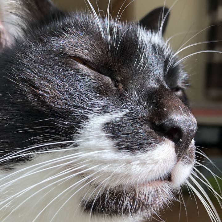 148b19d7 66d5 4f1c 8fe3 4ebc90cd8c83 1551490683686